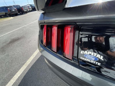2019 Ford Mustang Shelby GT350